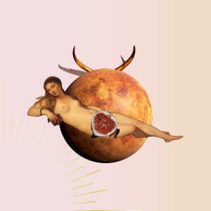 what-is-taurus-season-about
