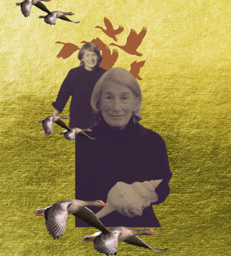 global-woman-find-your-way-in-the-world-virgo-season-mary-oliver